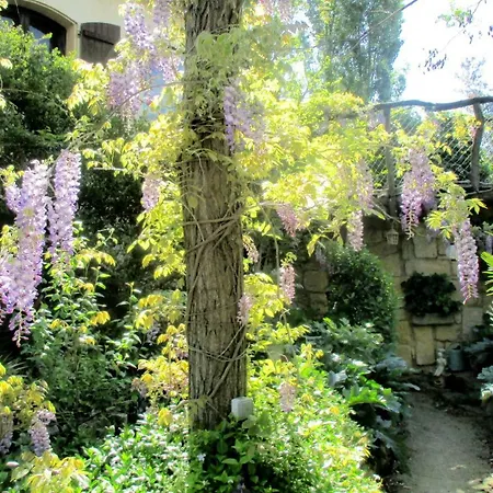 Jardin Et Bambous, Cosy, Classe 2 Etoiles Appartement *