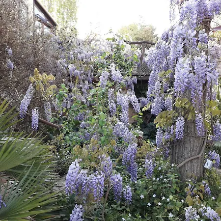 Jardin Et Bambous, Cosy, Classe 2 Etoiles Appartement *