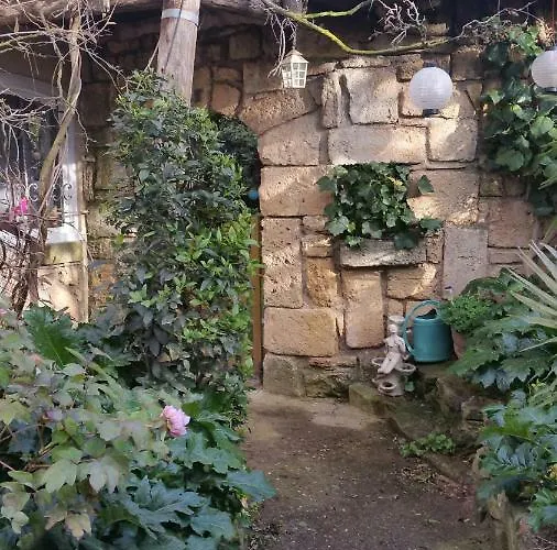 公寓 Jardin Et Bambous, Cosy, Classe 2 Etoiles 马瑟伊兰