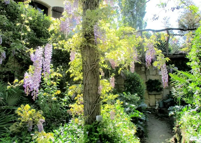 Jardin Et Bambous, Cosy, Classe 2 Etoiles 公寓 *