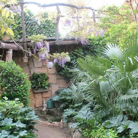 Jardin Et Bambous, Cosy, Classe 2 Etoiles * Marseillan (Herault)