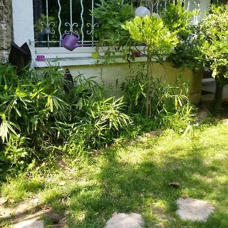Appartement Jardin Et Bambous, Cosy, Classé 2 étoiles Marseillan (Herault)
