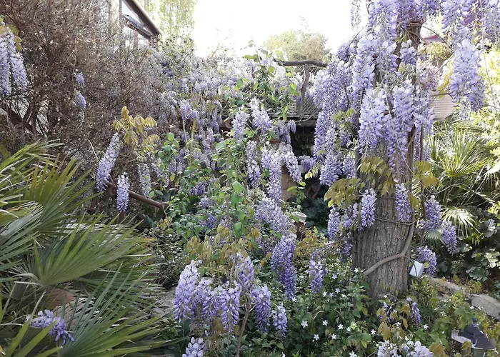 Jardin Et Bambous, Cosy, Classe 2 Etoiles Апартаменты *